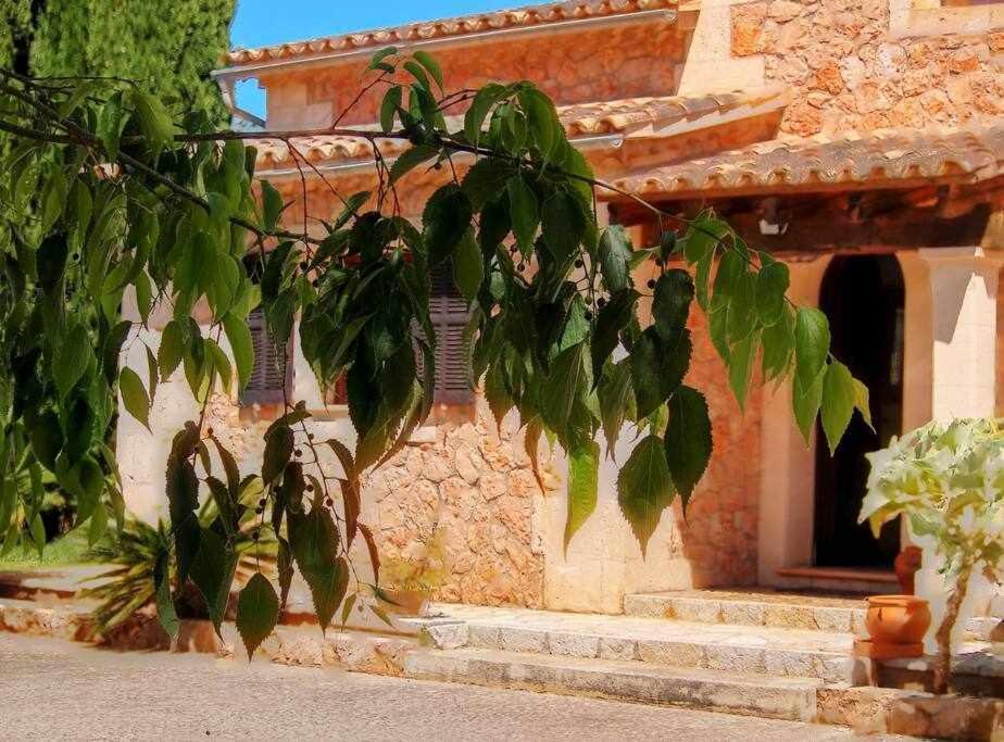 Ciclismo Y Golf Junto A La Playa Finca Son Sant Marti Gran Villa Muro Exteriör bild